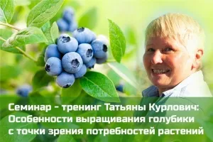 Видеокурс Татьяны Курлович: "Особенности выращивания голубики с точки зрения потребностей растений" 