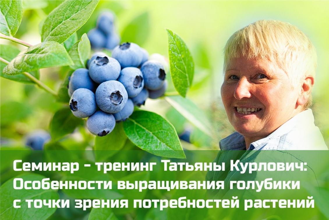 Семинар - тренинг Татьяны Курлович: Особенности выращивания голубики с точки зрения потребностей растений