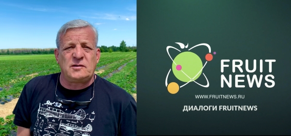 Диалог о перспективах сезона 2022 для ягодной отрасли с Вячеславом Пленкиным